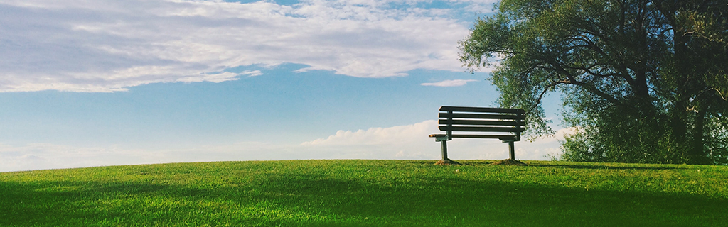 Bench on a hill.