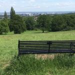 City park bench