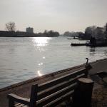 Riverside bench