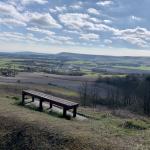 Woodland bench
